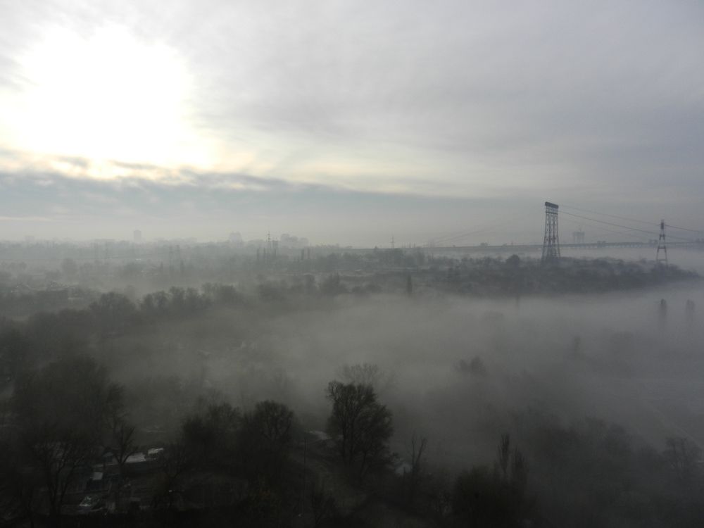 Photo #6879084