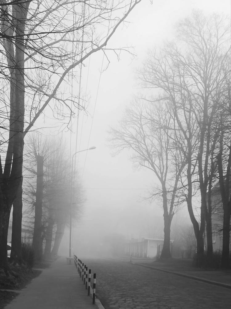 Photograph by Михалыч