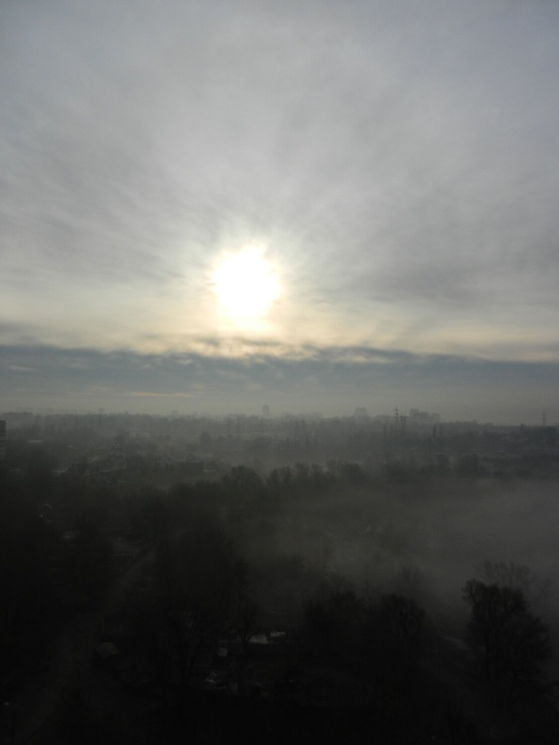 Photo #6879102