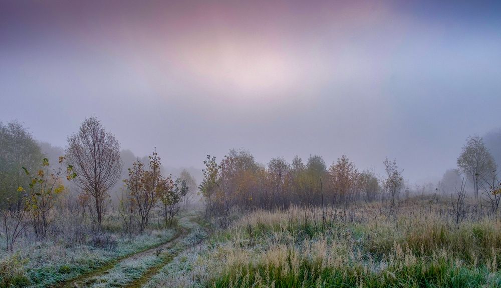 Photograph by Сычев Эдуард