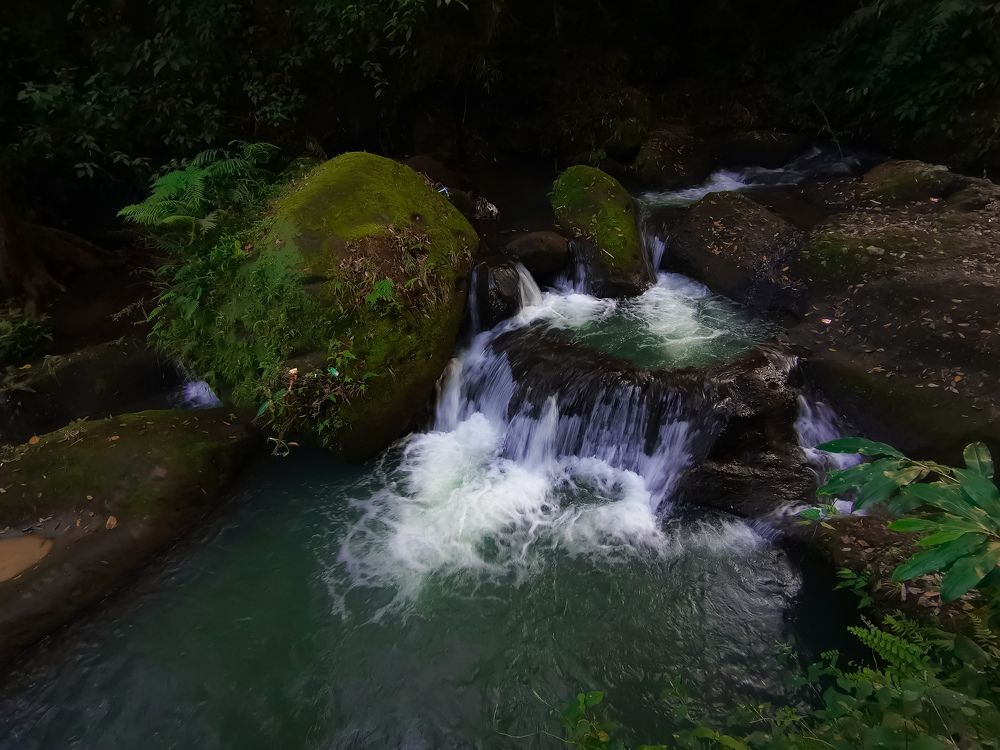 Photograph by Chris Codoy