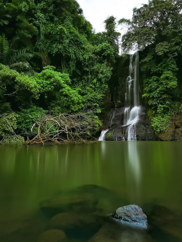 Photograph by Chris Codoy