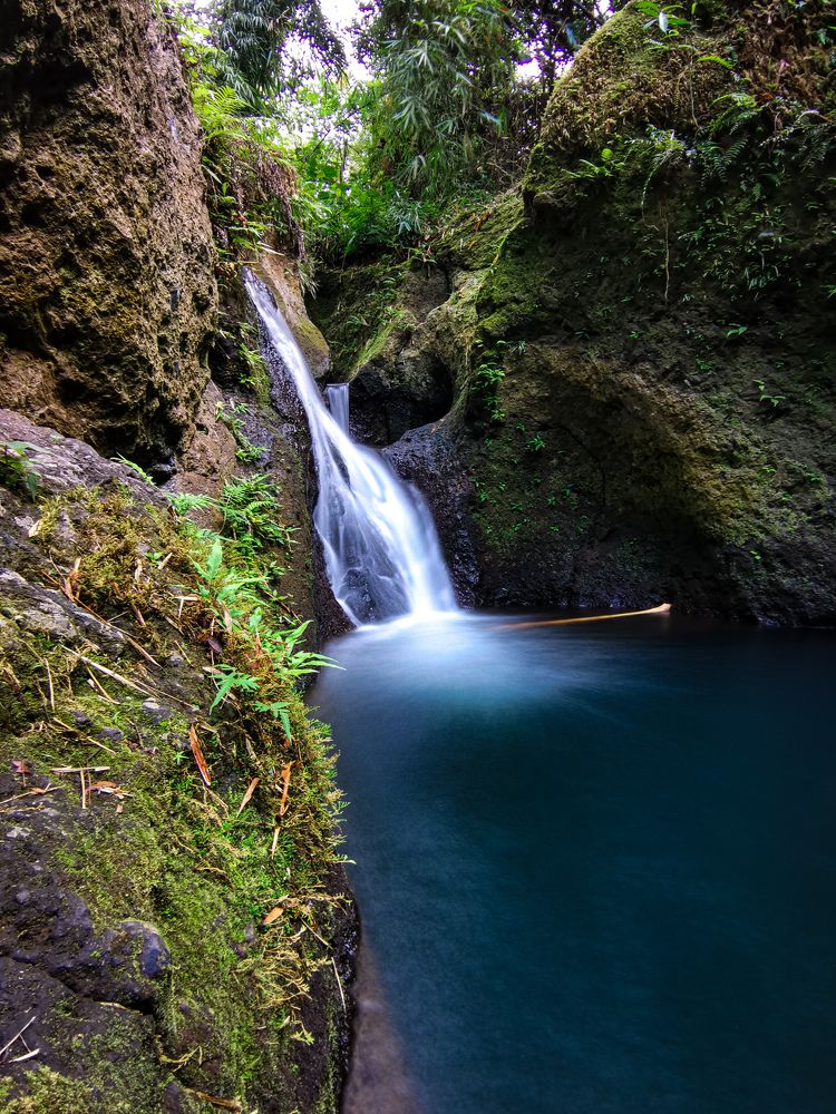 Photograph by Chris Codoy