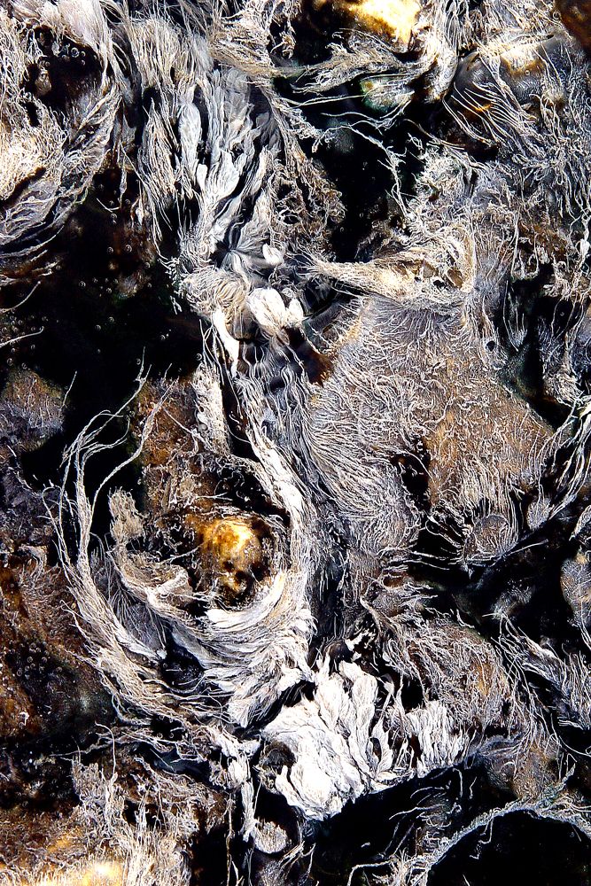 Морозные фантазии.