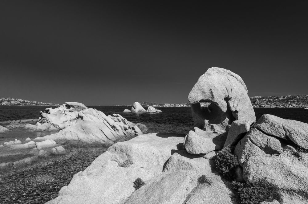 Photograph by Marek Kiraly