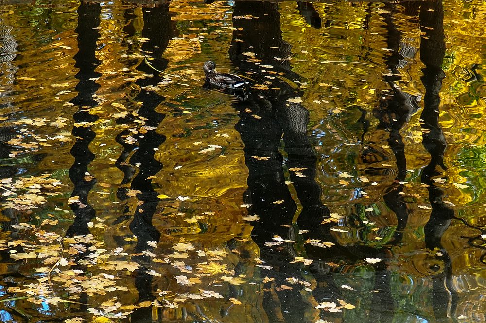 Photograph by Elena Khalizova