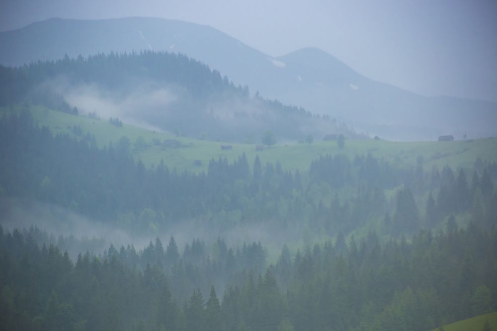 Photograph by Tatiana Kravchuk