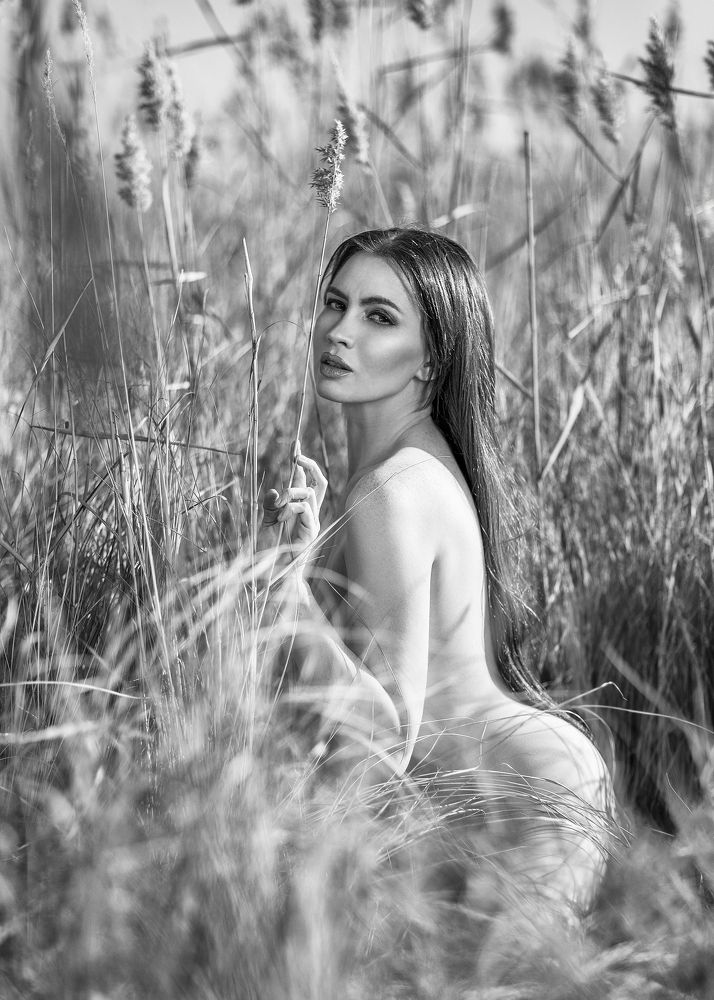 Фотография автора Сергей Киселев