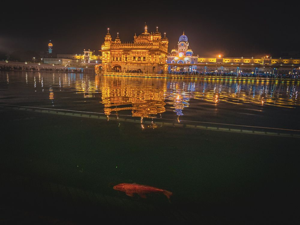 Photograph by Kanhaiya lal Yadav