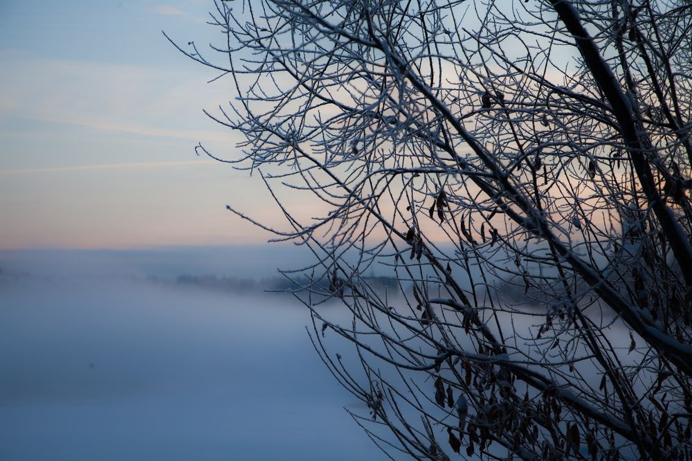 Photograph by Александра Пристинская