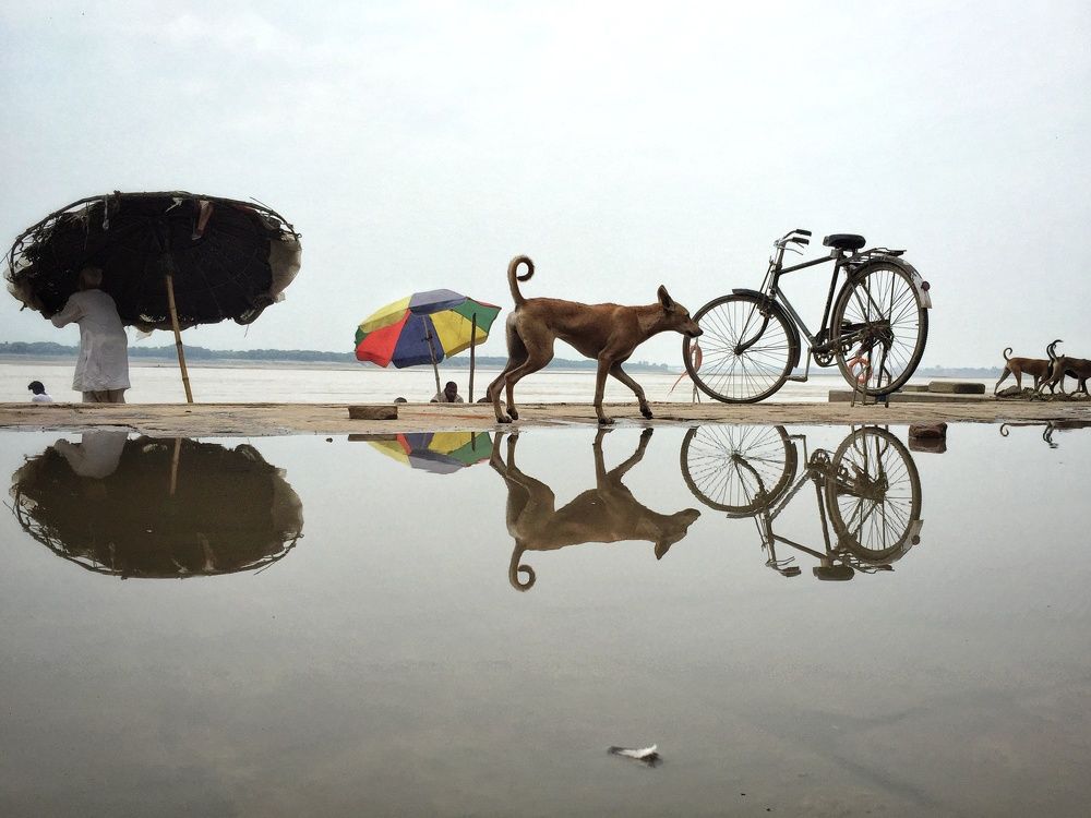 Photograph by DHIRAJ GOSWAMI