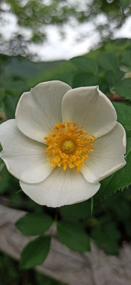 Photograph by Ольга