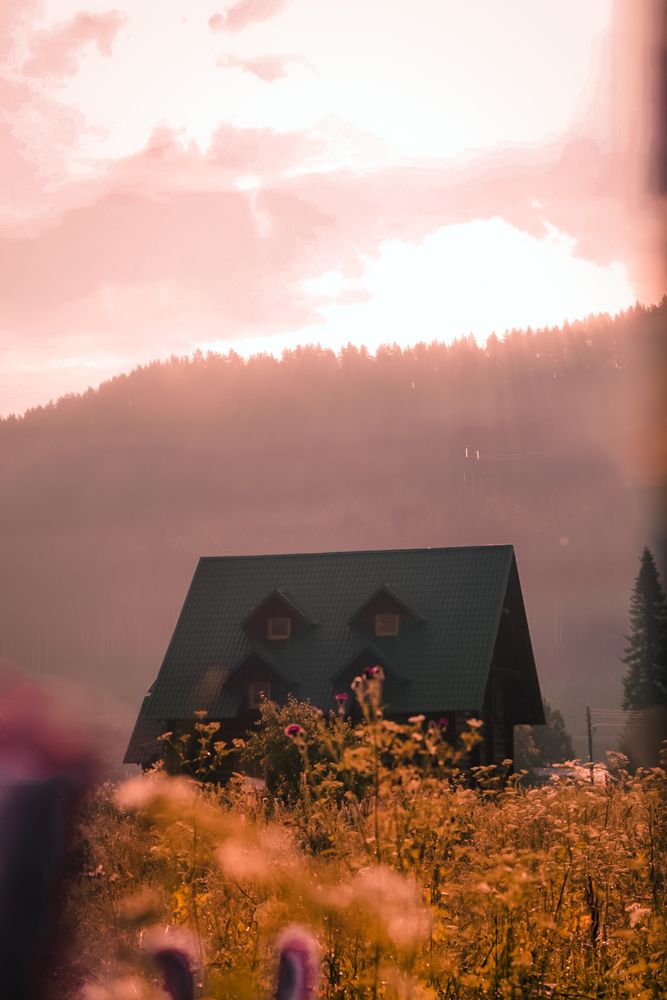 Photograph by Кургузова Дарья