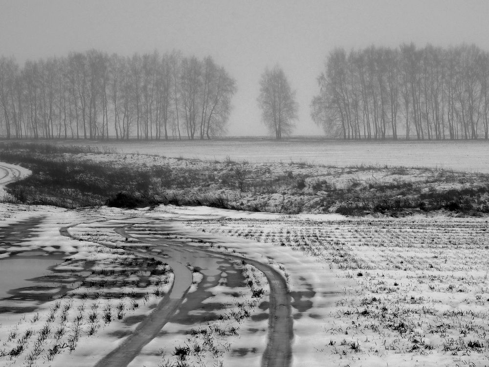 Photograph by Степанов Евгений