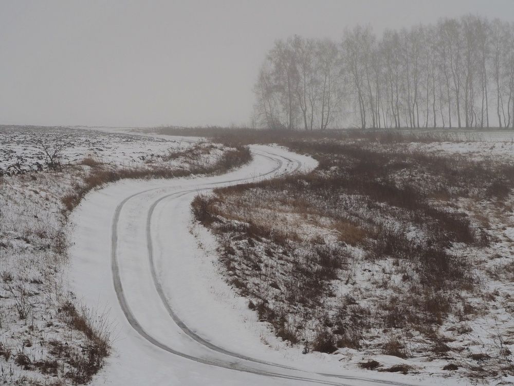 Photograph by Степанов Евгений