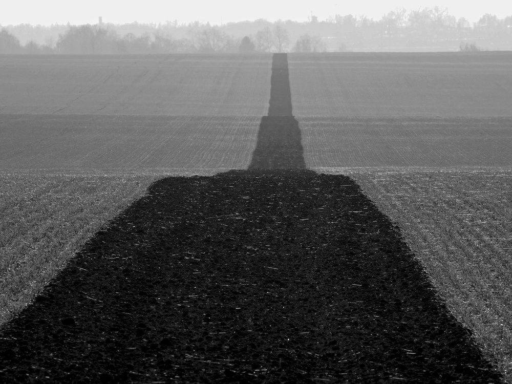 Photograph by Степанов Евгений