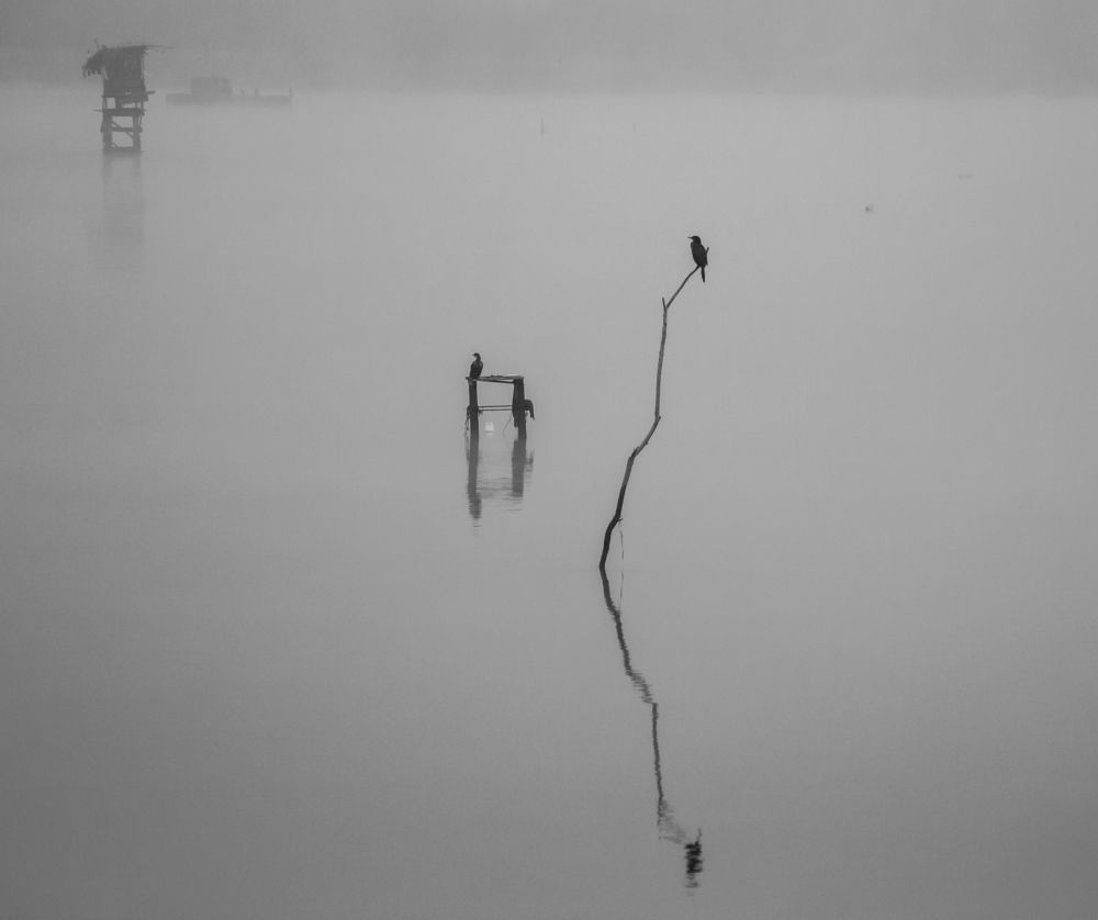 Photograph by Narcis Aurel Mursă