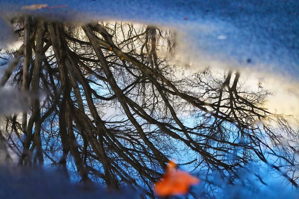 Photograph by Юлия Халяпина