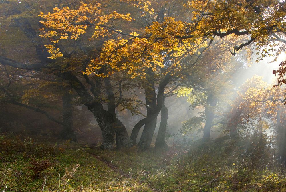 Фотография автора Милокост Алексей