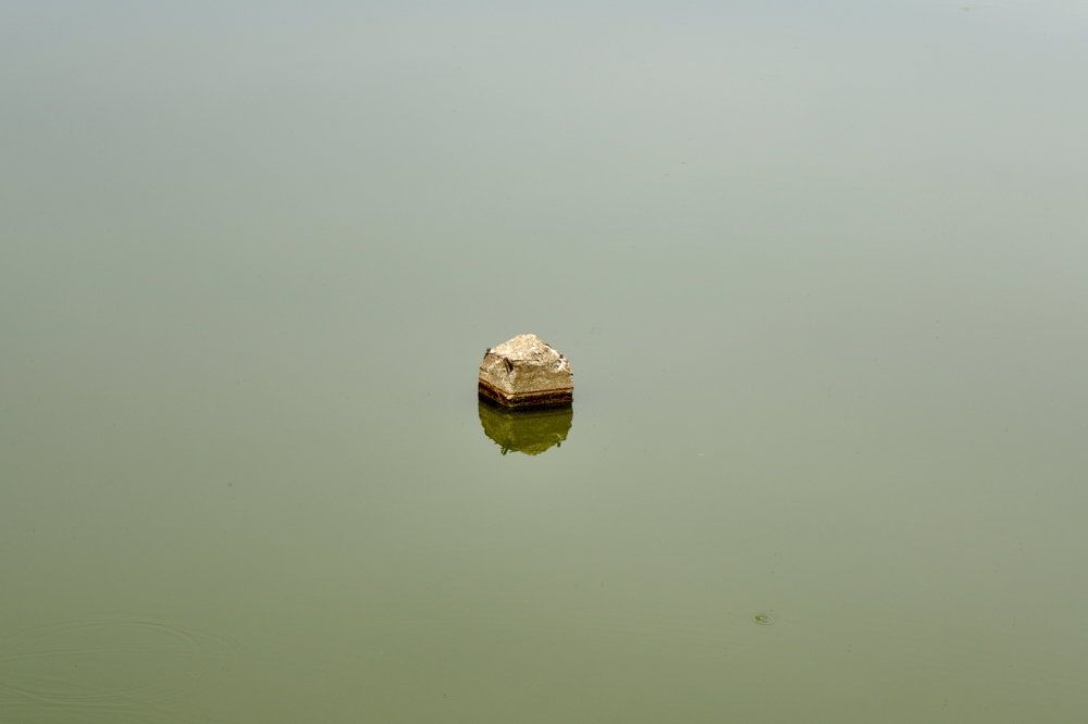 Photograph by Геннадий Глухов