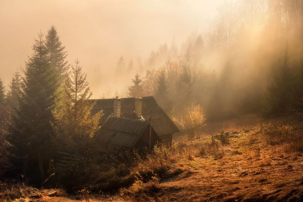 Photograph by Jakub Perlikowski