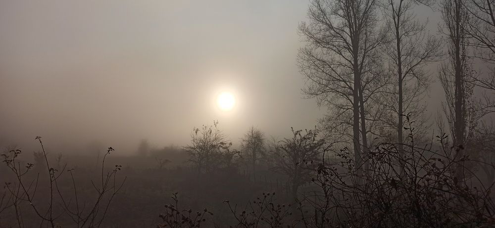 Photograph by Ольга