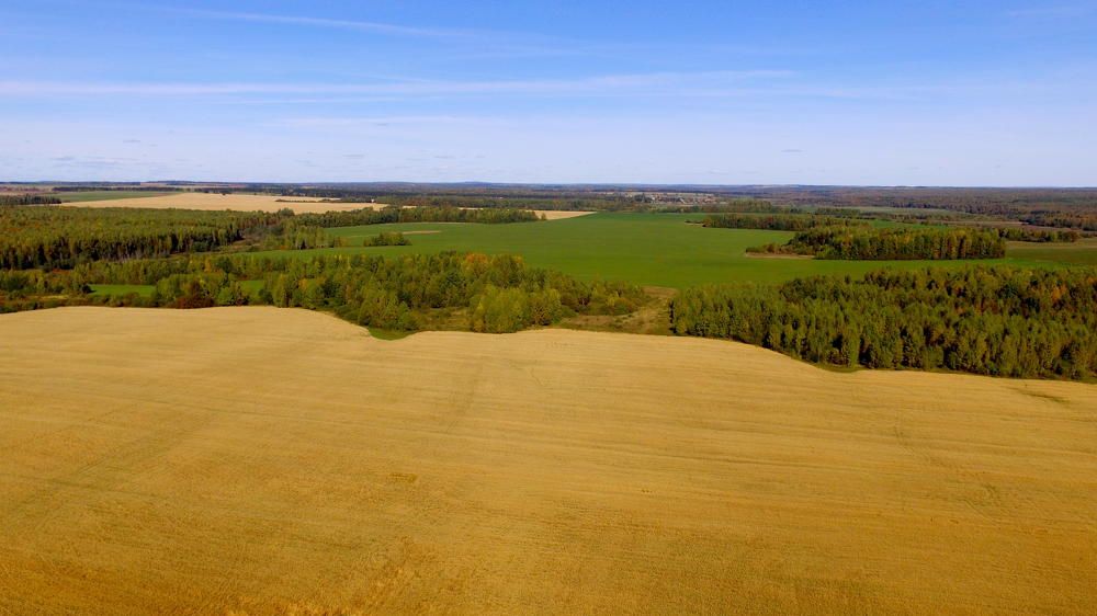 Photograph by Геннадий Глухов