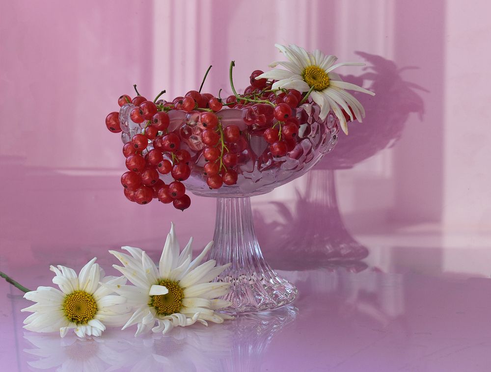 Photograph by Вера Звягинцева