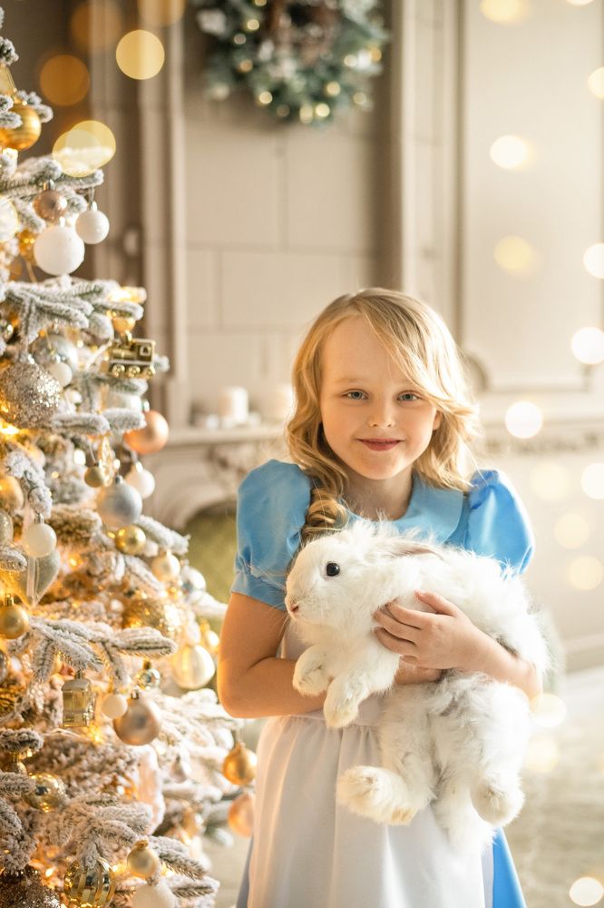 Alice and white rabbit