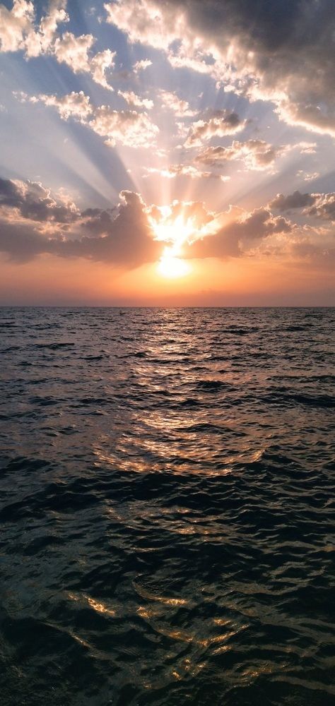 Photograph by Александра