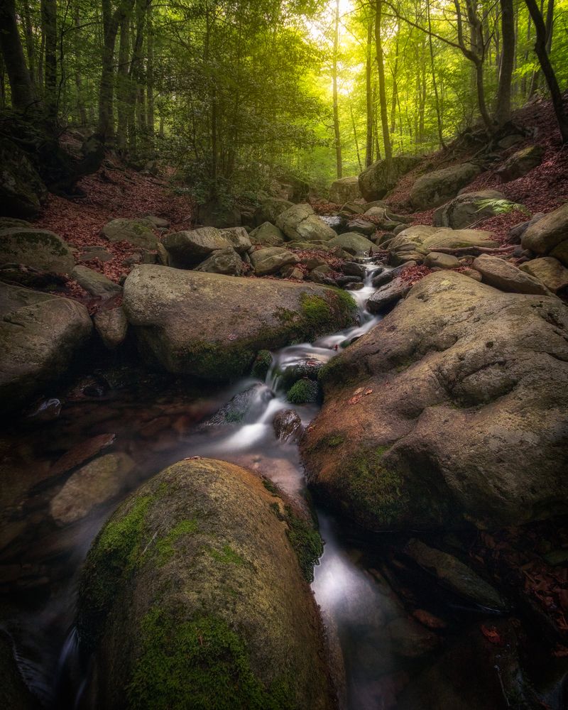 Photograph by Miguel Cordoba Ruiz