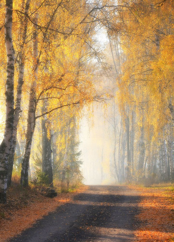 Photograph by Сергей Алексеев