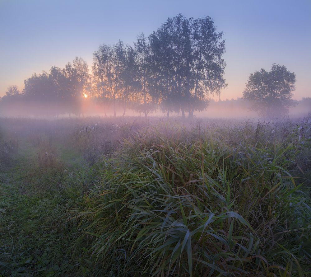 Photograph by Елена Рубинская