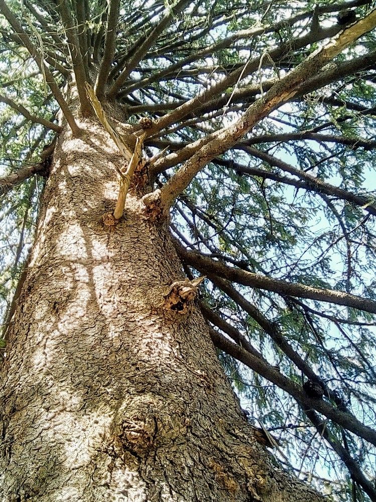 Photograph by Irina Mihailovskaya