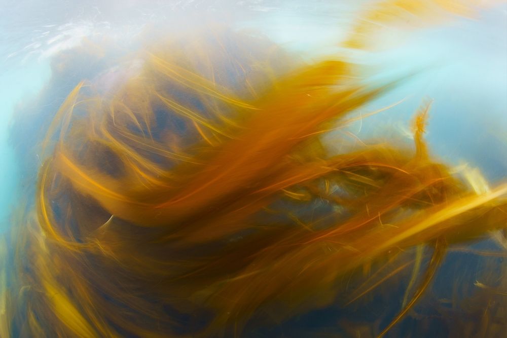 Фотография автора Нарчук Андрей