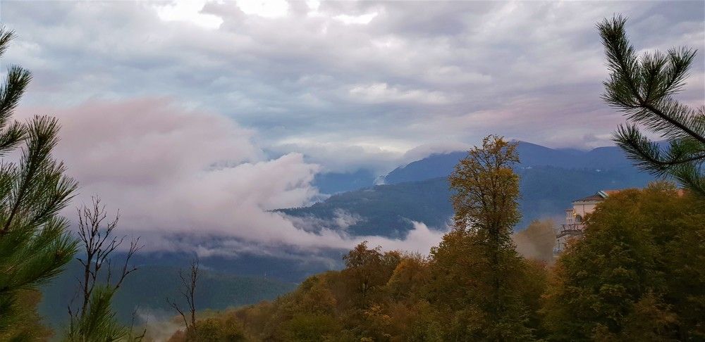 Photograph by Marie G