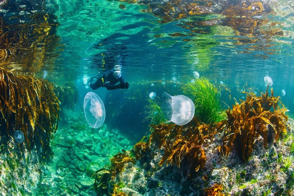 Photograph by Нарчук Андрей