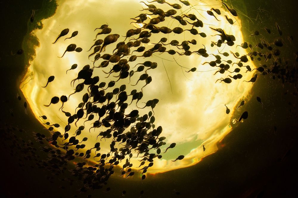 Фотография автора Нарчук Андрей