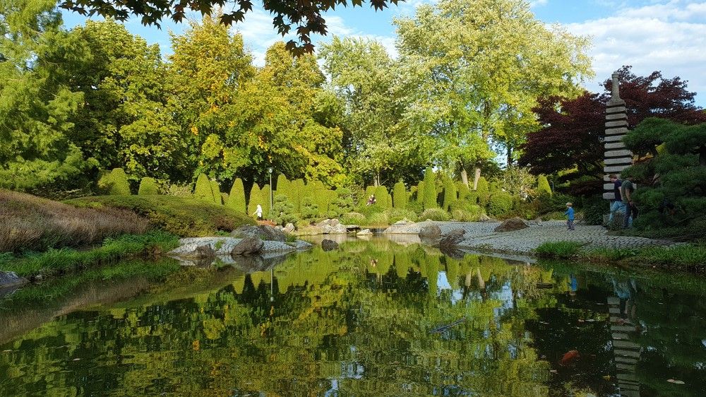 Photograph by Marie G