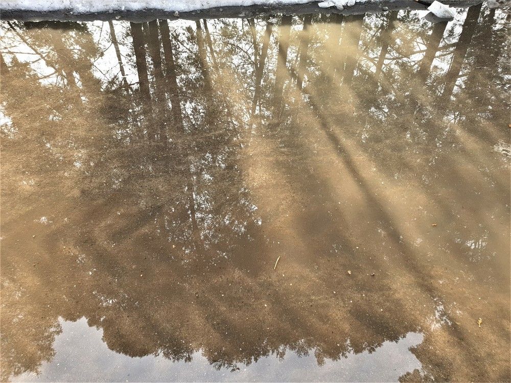 Photograph by Marie G