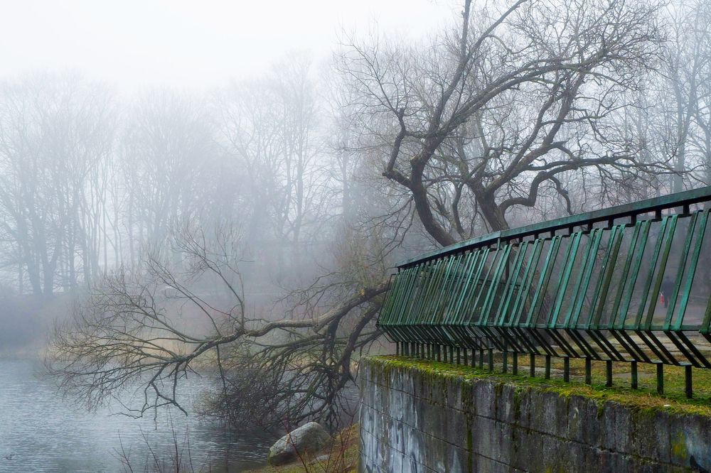 Photograph by андрей гусев