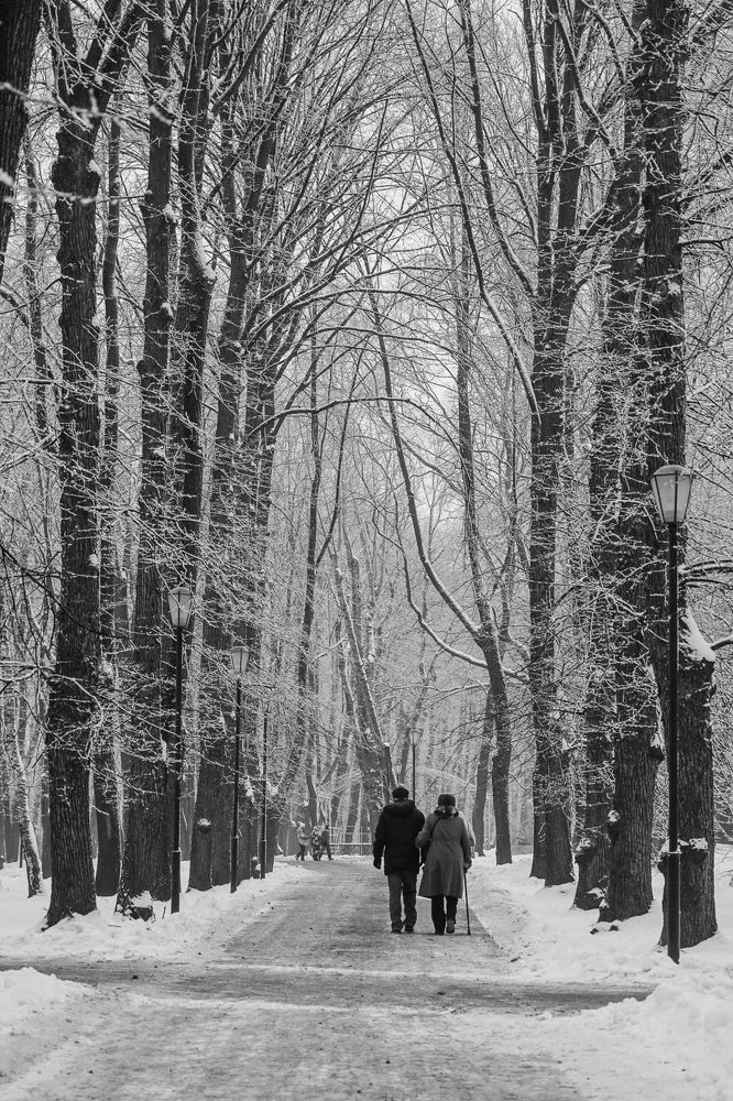 Photograph by Галина Бехметьева