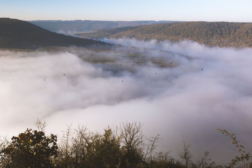 Photograph by Tatiana Kravchuk