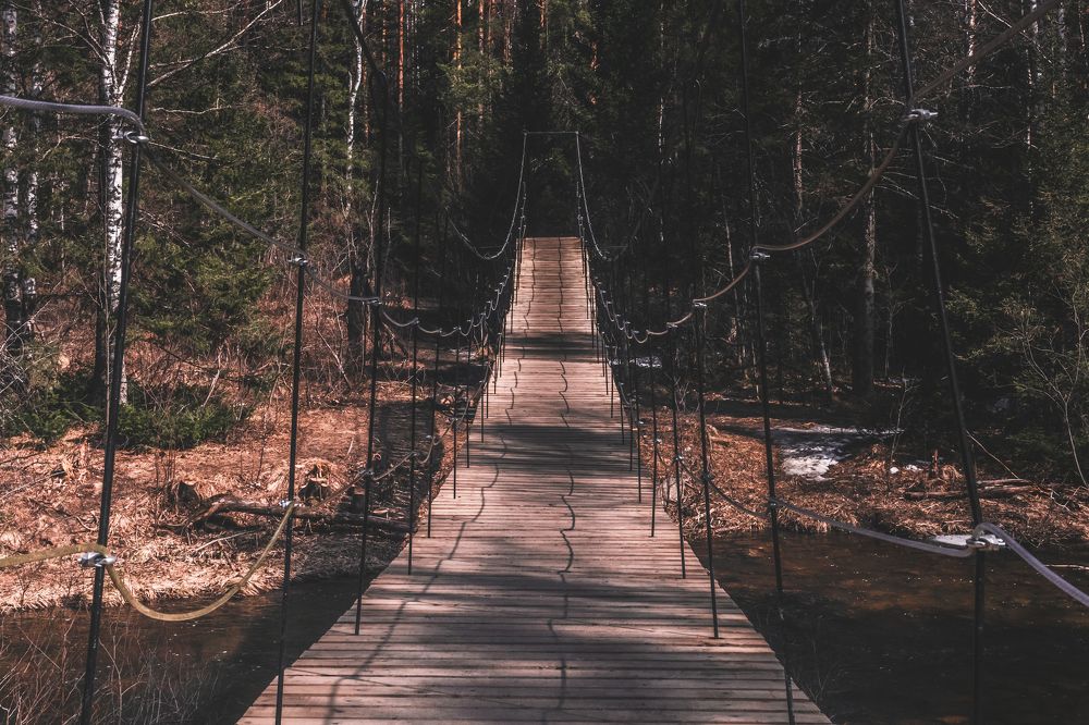 Photograph by Никита Волокитин