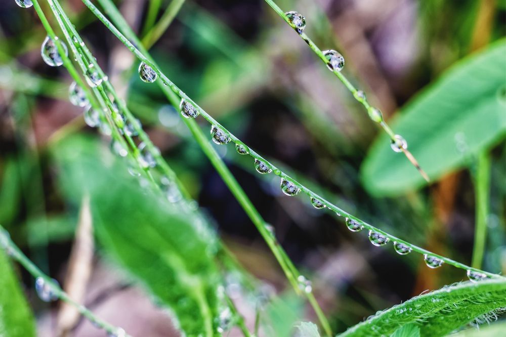 После дождя..