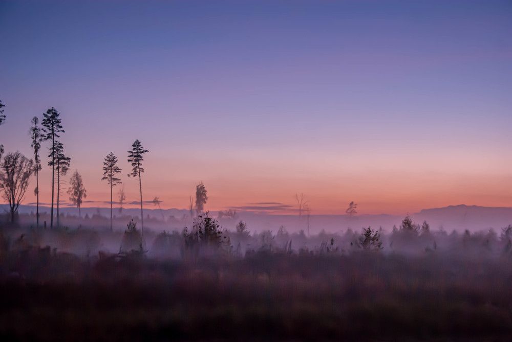 Photograph by Диана Бородзе