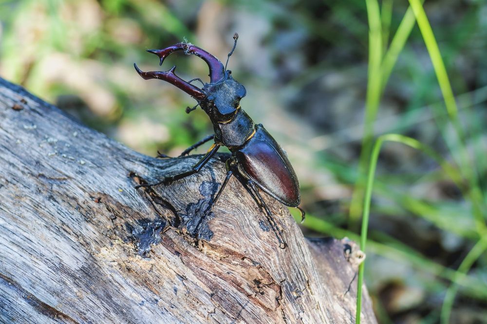 Во всей красе..