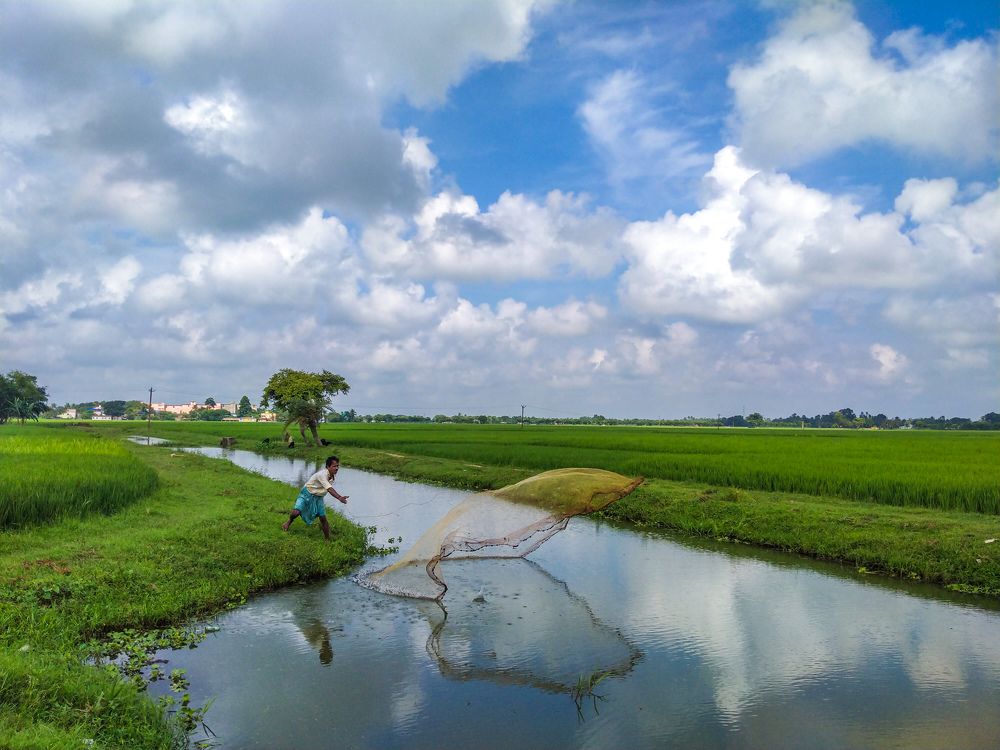 Photograph by SUBRATA DAS