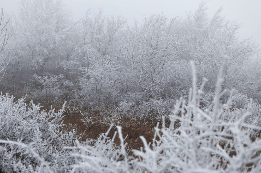 Photograph by Marina Charkina