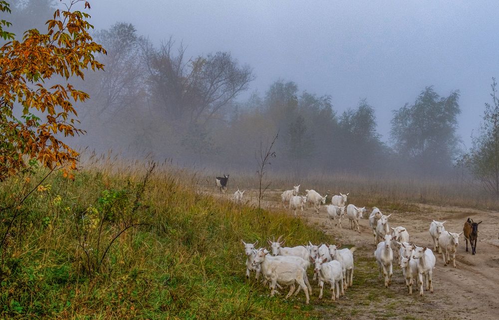 Photograph by Сычев Эдуард